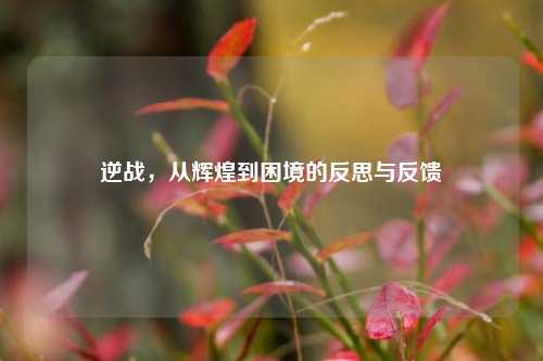 逆战,从辉煌到困境的反思与反馈