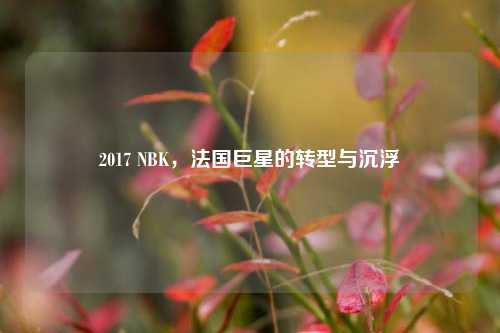 2017 NBK,法国巨星的转型与沉浮