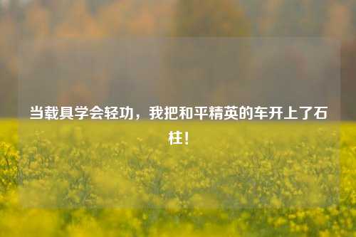 当载具学会轻功,我把和平精英的车开上了石柱!