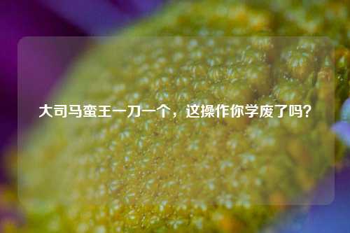 大司马蛮王一刀一个,这操作你学废了吗?