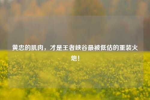 黄忠的肌肉,才是王者峡谷最被低估的重装火炮!