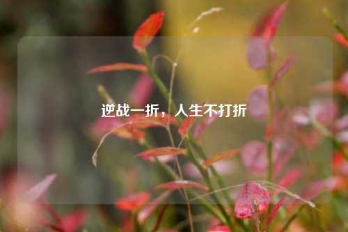 逆战一折，人生不打折