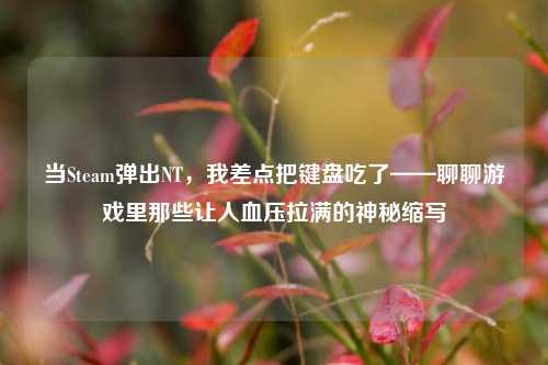 当Steam弹出NT,我差点把键盘吃了——聊聊游戏里那些让人血压拉满的神秘缩写