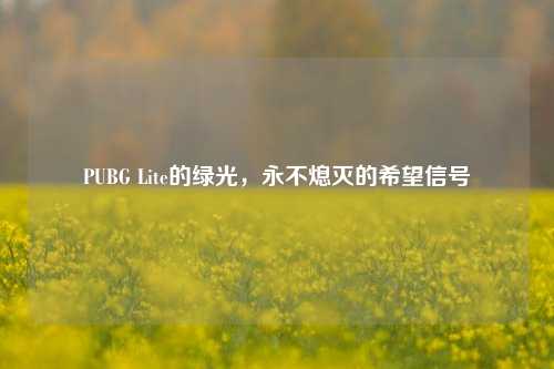 PUBG Lite的绿光,永不熄灭的希望信号