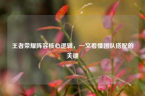 王者荣耀阵容核心逻辑,一文看懂团队搭配的关键