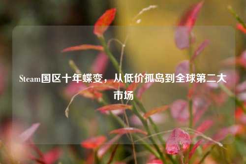 Steam国区十年蝶变,从低价孤岛到全球第二大市场