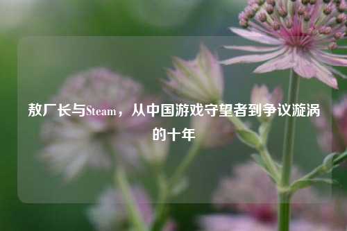 敖厂长与Steam,从中国游戏守望者到争议漩涡的十年