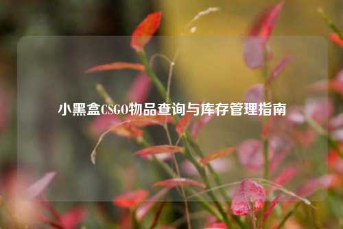 小黑盒CSGO物品查询与库存管理指南