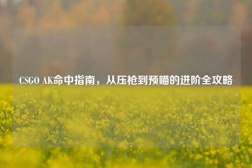 CSGO AK命中指南,从压枪到预瞄的进阶全攻略