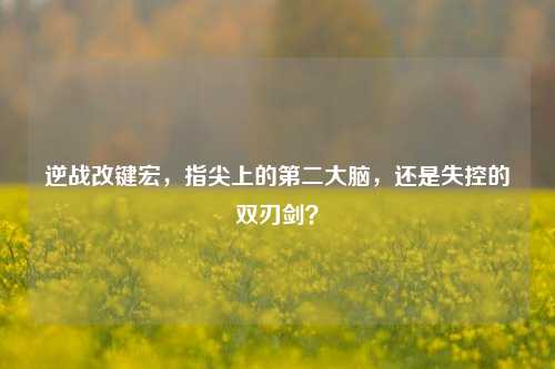 逆战改键宏,指尖上的第二大脑,还是失控的双刃剑?