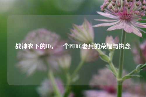 战神衣下的ID,一个PUBG老兵的荣耀与执念
