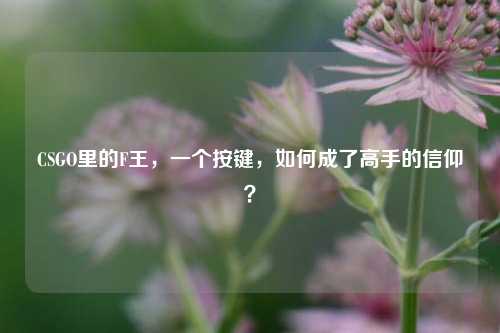 CSGO里的F王,一个按键,如何成了高手的信仰?