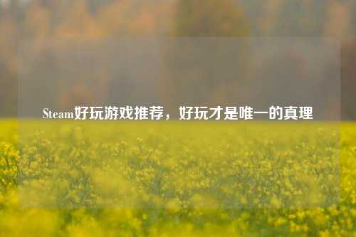 Steam好玩游戏推荐,好玩才是唯一的真理