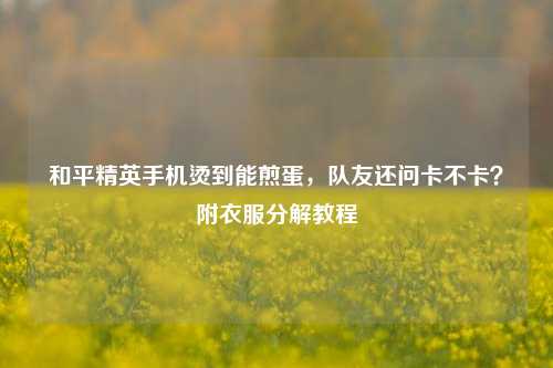 和平精英手机烫到能煎蛋,队友还问卡不卡?附衣服分解教程