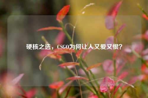 硬核之选,CSGO为何让人又爱又恨?