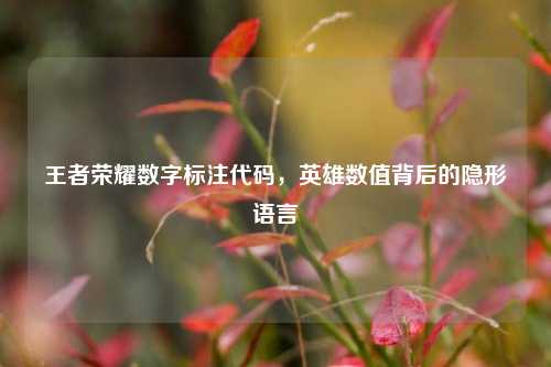 王者荣耀数字标注代码,英雄数值背后的隐形语言