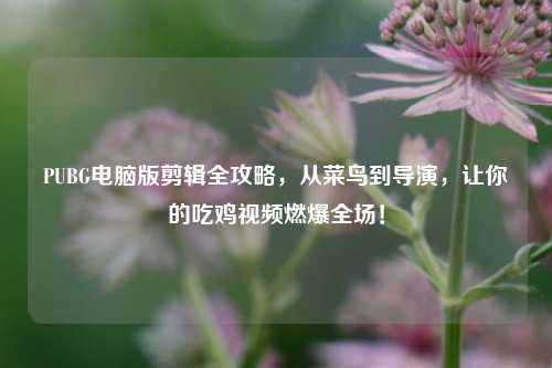PUBG电脑版剪辑全攻略,从菜鸟到导演,让你的吃鸡视频燃爆全场!