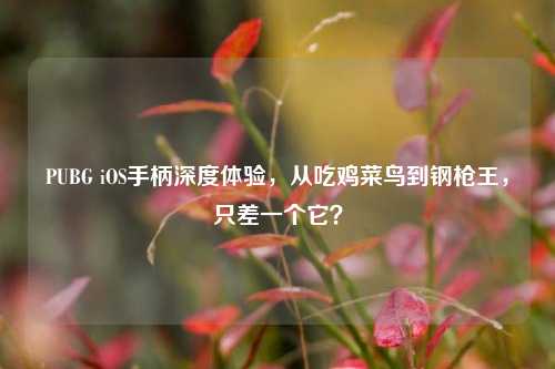 PUBG iOS手柄深度体验,从吃鸡菜鸟到钢枪王,只差一个它?