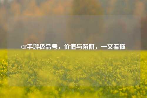 CF手游极品号,价值与陷阱,一文看懂