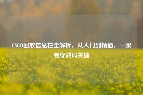 CSGO回放信息栏全解析,从入门到精通,一眼看穿战局关键