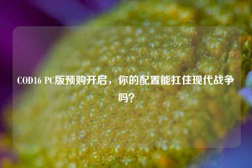 COD16 PC版预购开启,你的配置能扛住现代战争吗?