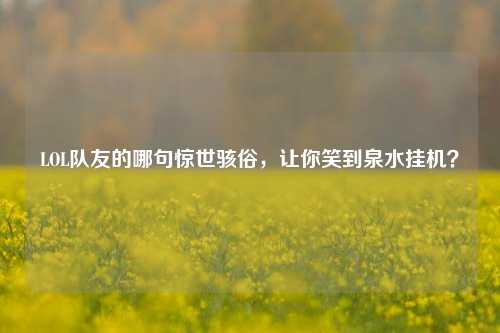 LOL队友的哪句惊世骇俗,让你笑到泉水挂机?