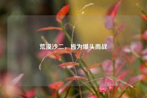 荒漠沙二,皆为爆头而战