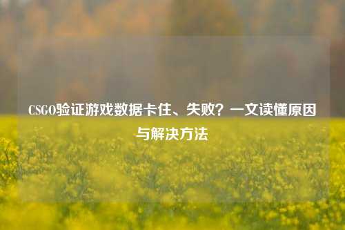 CSGO验证游戏数据卡住、失败?一文读懂原因与解决方法