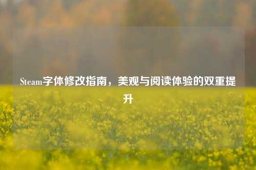 Steam字体修改指南,美观与阅读体验的双重提升