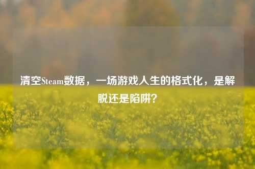 清空Steam数据,一场游戏人生的格式化,是解脱还是陷阱?