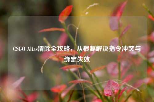 CSGO Alias清除全攻略,从根源解决指令冲突与绑定失效