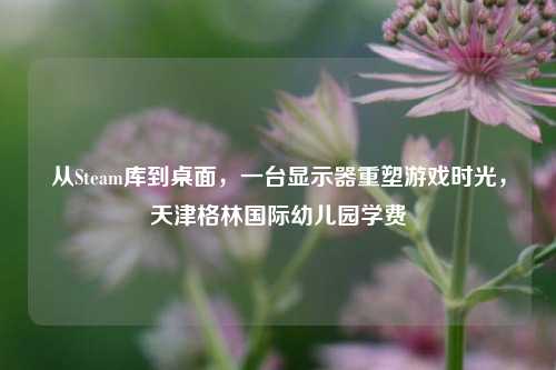 从Steam库到桌面,一台显示器重塑游戏时光,天津格林国际幼儿园学费