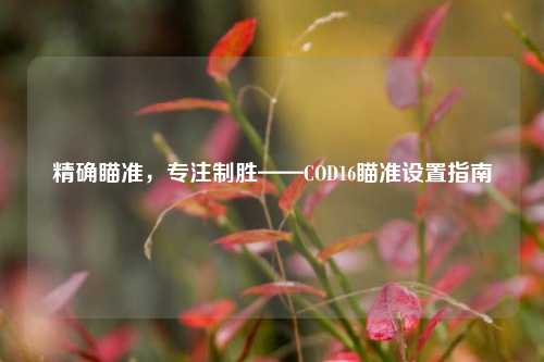 精确瞄准,专注制胜——COD16瞄准设置指南