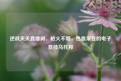 逆战天天直播间,枪火不熄,热血常在的电子竞技乌托邦