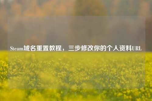 Steam域名重置教程,三步修改你的个人资料URL