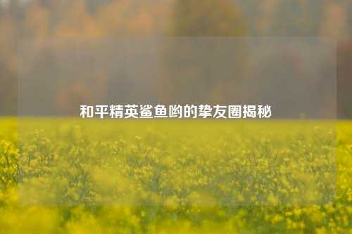 和平精英鲨鱼哟的挚友圈揭秘