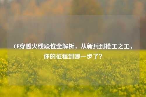 CF穿越火线段位全解析,从新兵到枪王之王,你的征程到哪一步了?
