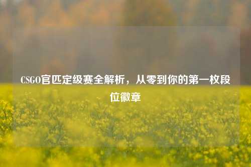 CSGO官匹定级赛全解析,从零到你的第一枚段位徽章