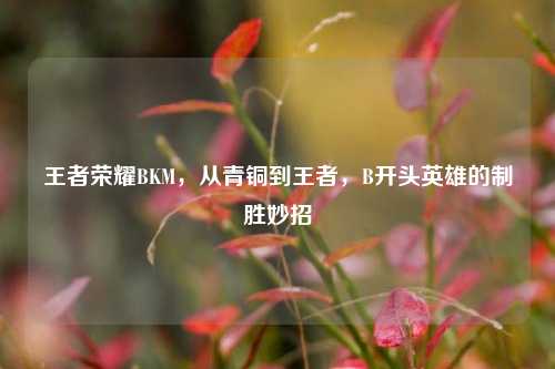 王者荣耀BKM,从青铜到王者,B开头英雄的制胜妙招