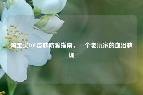淘宝买LOL皮肤防骗指南,一个老玩家的血泪教训