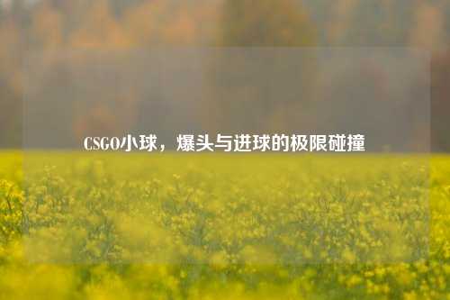 CSGO小球,爆头与进球的极限碰撞
