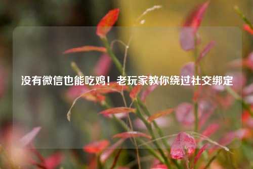 没有微信也能吃鸡!老玩家教你绕过社交绑定