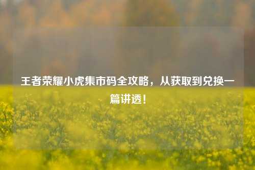 王者荣耀小虎集市码全攻略,从获取到兑换一篇讲透!