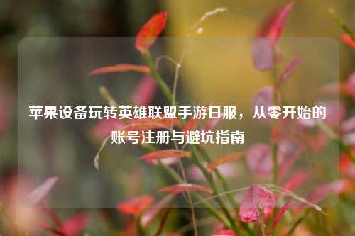 苹果设备玩转英雄联盟手游日服,从零开始的账号注册与避坑指南