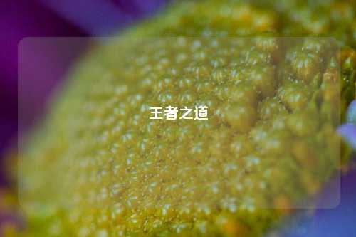 王者之道