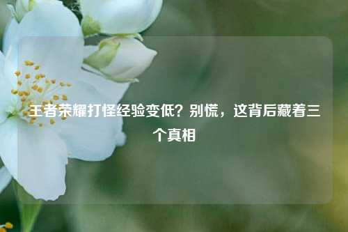 王者荣耀打怪经验变低?别慌,这背后藏着三个真相