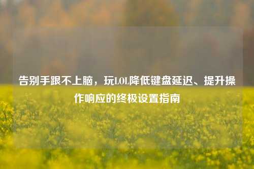 告别手跟不上脑,玩LOL降低键盘延迟、提升操作响应的终极设置指南