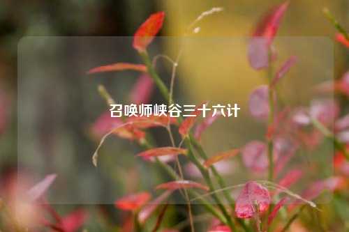 召唤师峡谷三十六计