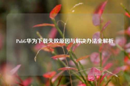 PubG华为下载失败原因与解决办法全解析