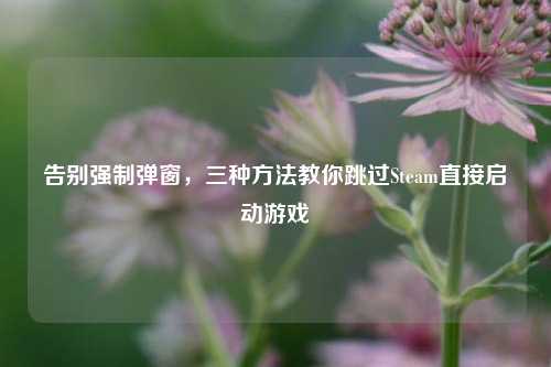告别强制弹窗,三种方法教你跳过Steam直接启动游戏